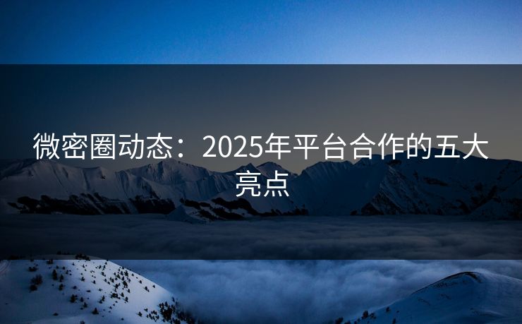 微密圈动态：2025年平台合作的五大亮点