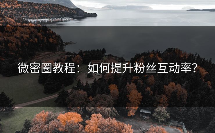 微密圈教程：如何提升粉丝互动率？