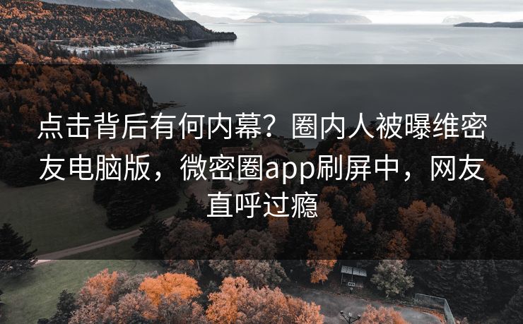 点击背后有何内幕？圈内人被曝维密友电脑版，微密圈app刷屏中，网友直呼过瘾