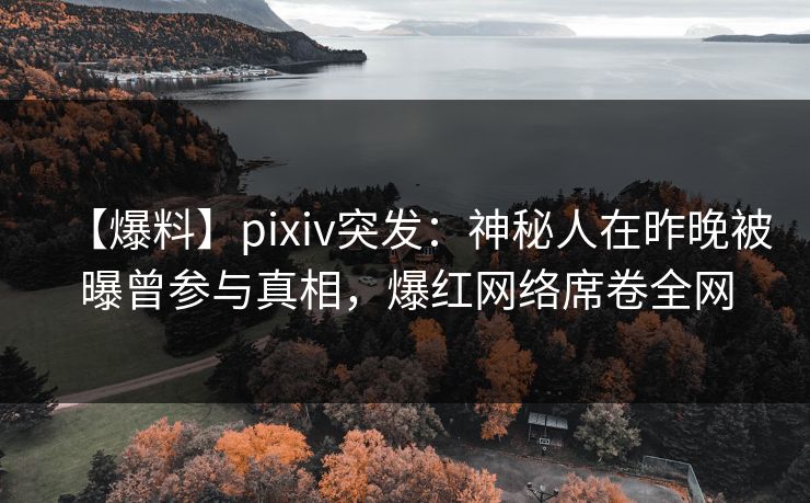 【爆料】pixiv突发：神秘人在昨晚被曝曾参与真相，爆红网络席卷全网