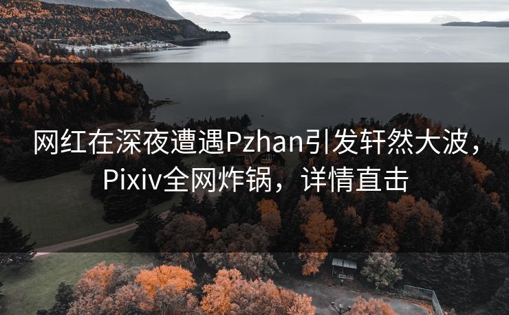 网红在深夜遭遇Pzhan引发轩然大波，Pixiv全网炸锅，详情直击