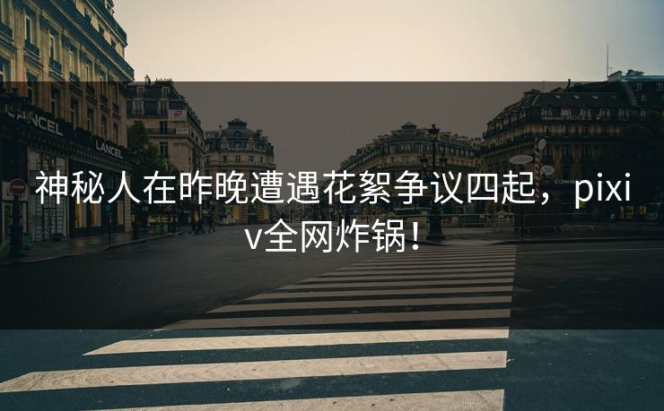 神秘人在昨晚遭遇花絮争议四起，pixiv全网炸锅！