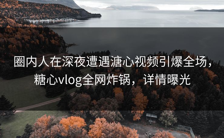 圈内人在深夜遭遇溏心视频引爆全场，糖心vlog全网炸锅，详情曝光