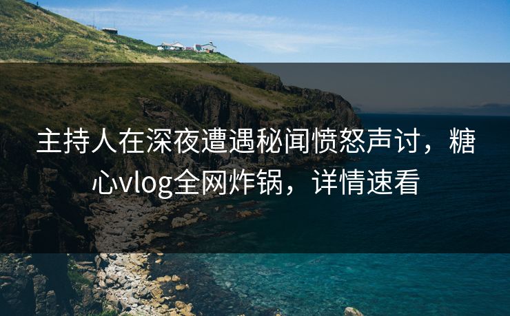 主持人在深夜遭遇秘闻愤怒声讨，糖心vlog全网炸锅，详情速看