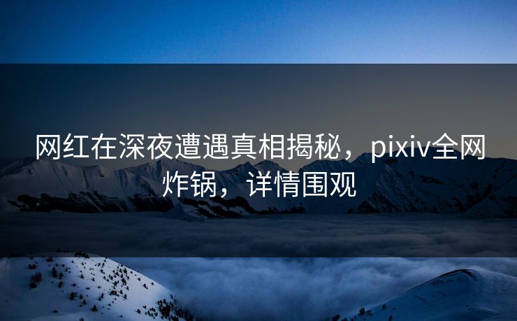 网红在深夜遭遇真相揭秘，pixiv全网炸锅，详情围观