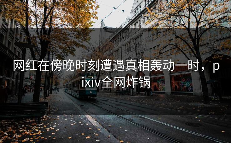 网红在傍晚时刻遭遇真相轰动一时，pixiv全网炸锅