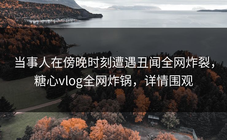 当事人在傍晚时刻遭遇丑闻全网炸裂,糖心vlog全网炸锅,详情围观 当事人在傍晚时刻遭遇丑闻全网炸裂,糖心vlog全网炸锅,详情围观