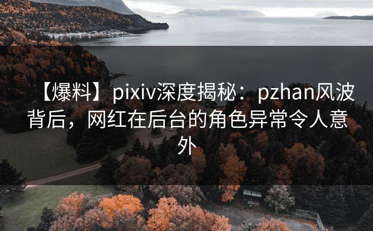 【爆料】pixiv深度揭秘：pzhan风波背后，网红在后台的角色异常令人意外