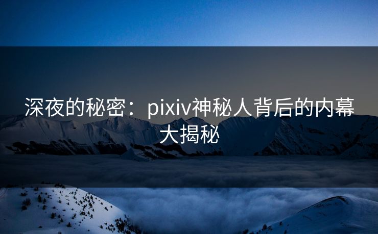 深夜的秘密：pixiv神秘人背后的内幕大揭秘
